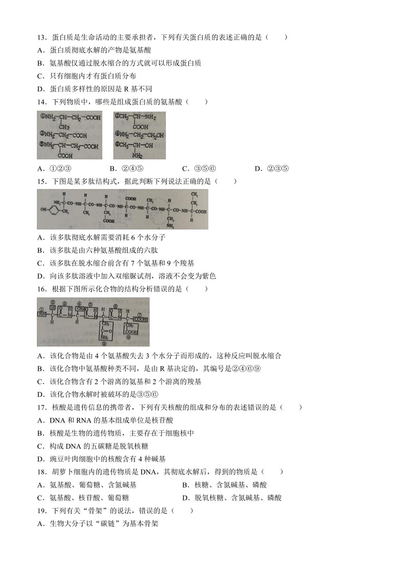 [生物]陕西省铜川市第一中学2023_2024学年高一上学期期中考试试题(无答案)03