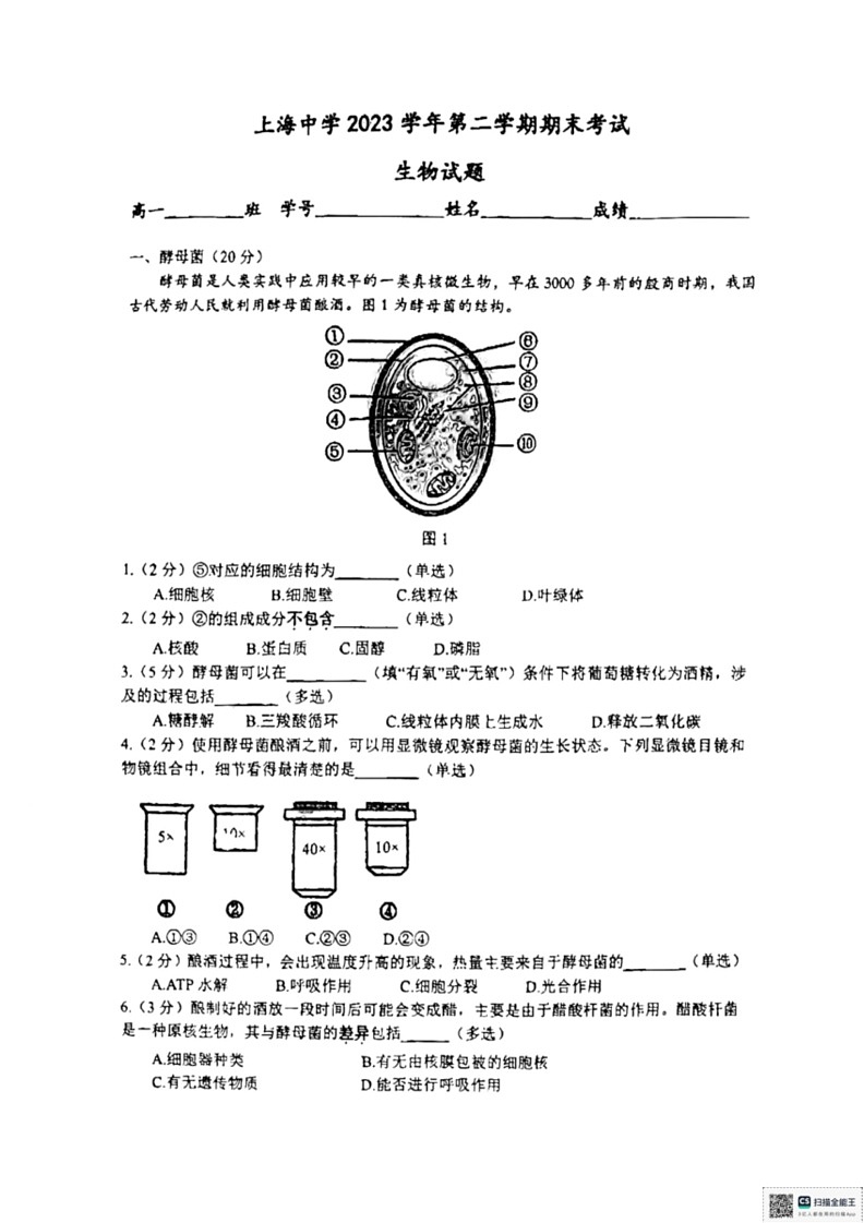 [生物]上海市徐汇区上海中学2023～2024学年高一下学期6月期末试题(无答案)01