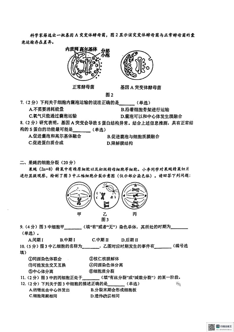 [生物]上海市徐汇区上海中学2023～2024学年高一下学期6月期末试题(无答案)02