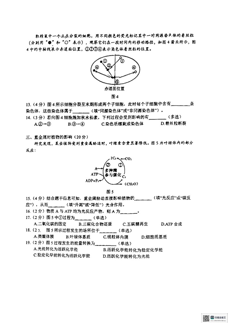 [生物]上海市徐汇区上海中学2023～2024学年高一下学期6月期末试题(无答案)03