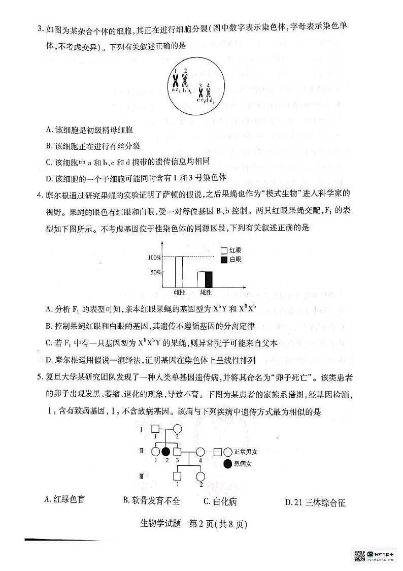 河南省南阳市南阳六校联考2023-2024学年高一下学期6月期末生物试题第2页