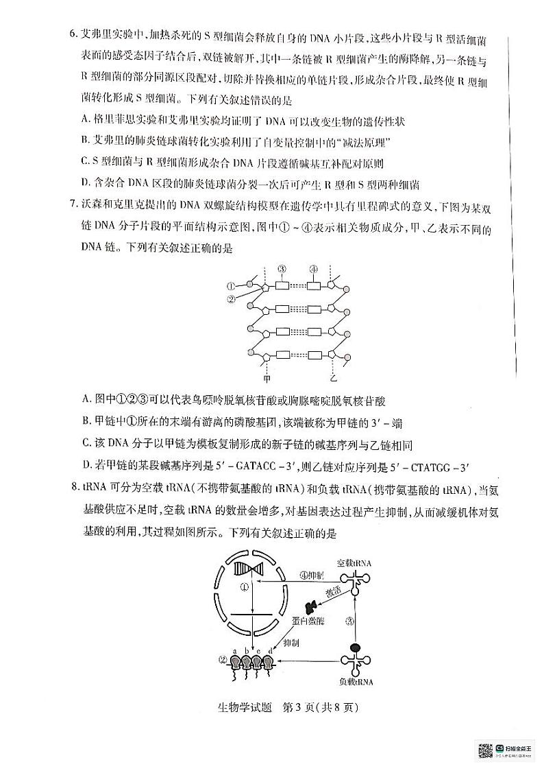 河南省南阳市南阳六校联考2023-2024学年高一下学期6月期末生物试题第3页