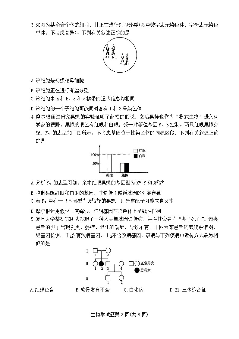 河南省南阳市南阳六校联考2023-2024学年高一下学期6月期末生物试题02