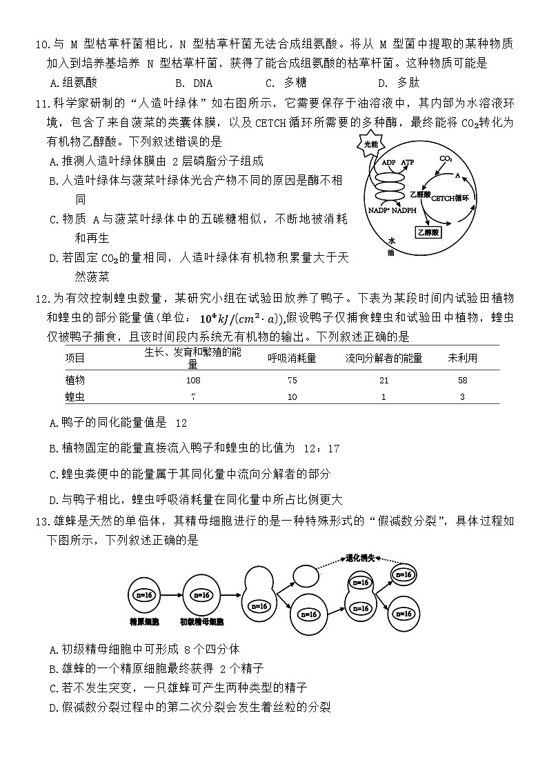 浙江省湖州市2023-2024学年高二下学期期末考试生物试题03
