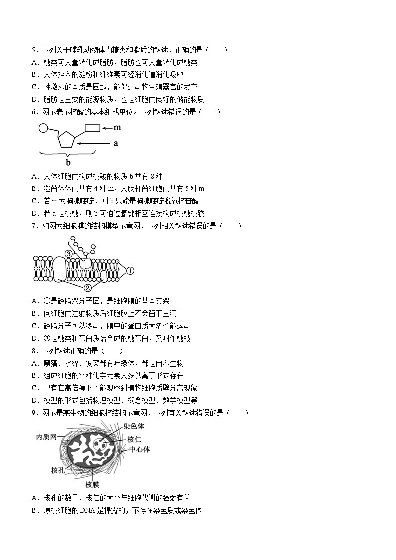 四川省成都市蓉城名校2023-2024学年高二下学期6月期末联考生物试题第2页