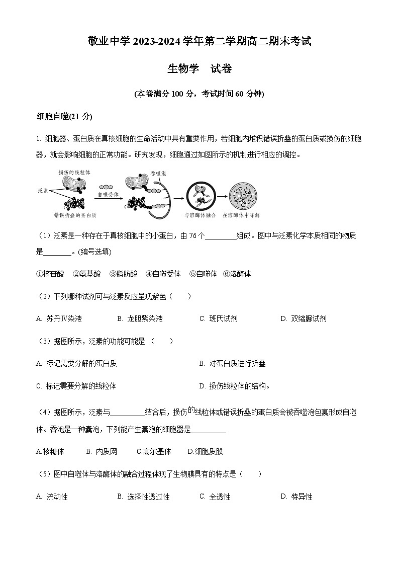 上海市敬业中学2023-2024学年高二下学期6月期末考试生物试题01