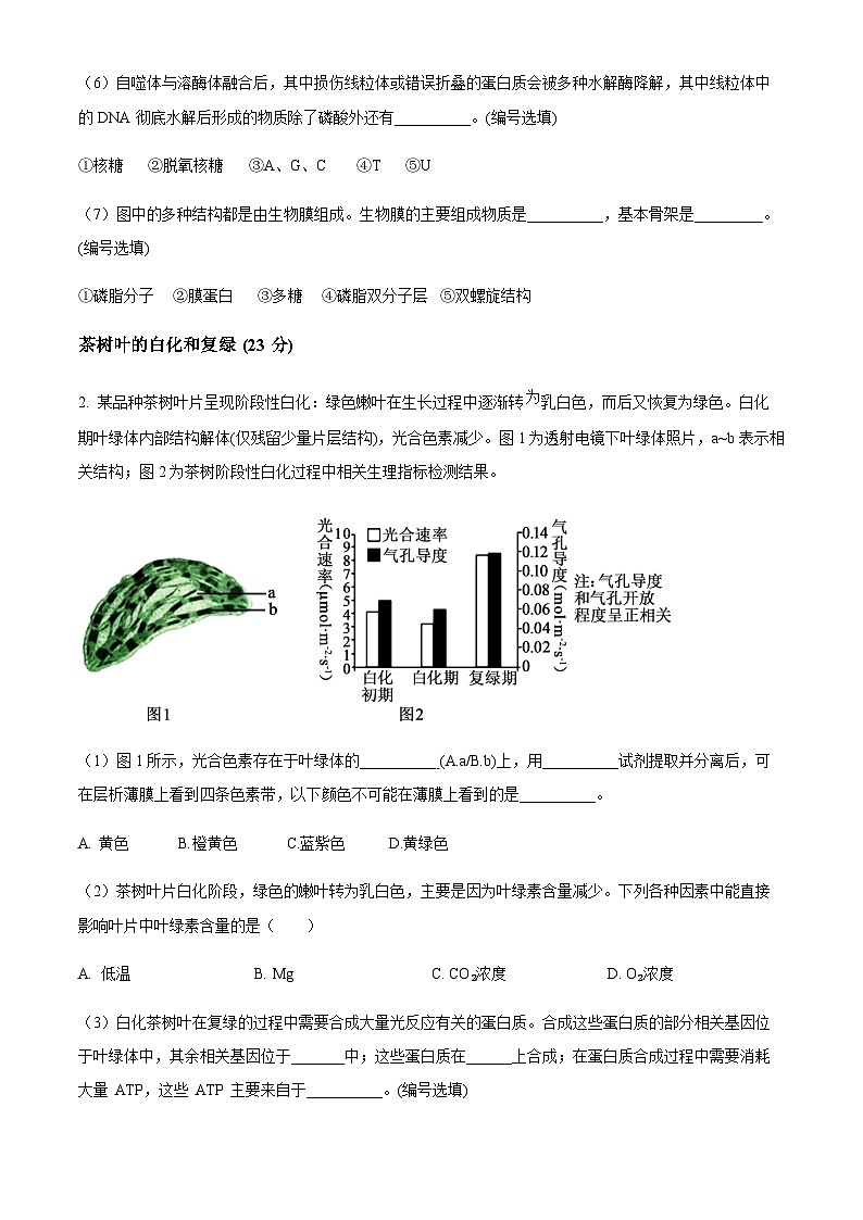 上海市敬业中学2023-2024学年高二下学期6月期末考试生物试题02