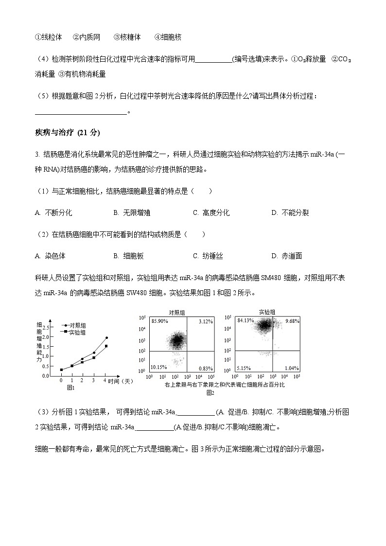 上海市敬业中学2023-2024学年高二下学期6月期末考试生物试题03