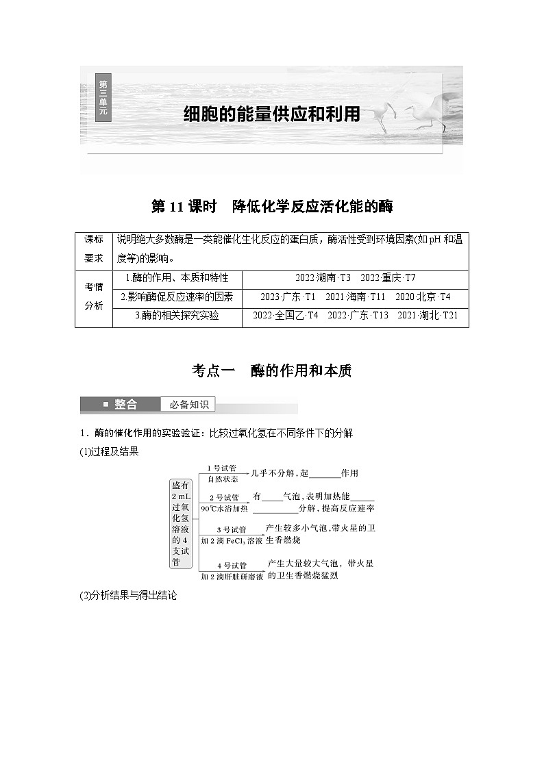 第三单元　第十一课时　降低化学反应活化能的酶-2025年高考生物大一轮复习课件01