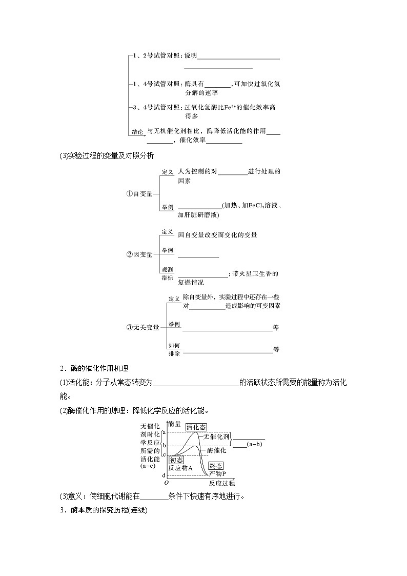 第三单元　第十一课时　降低化学反应活化能的酶-2025年高考生物大一轮复习课件02