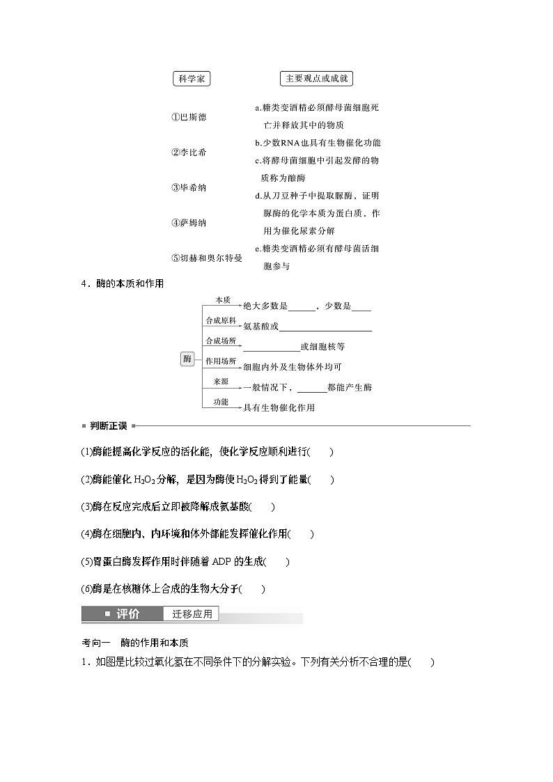 第三单元　第十一课时　降低化学反应活化能的酶-2025年高考生物大一轮复习课件03