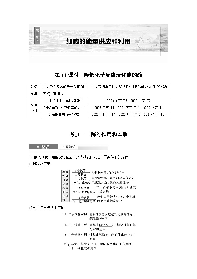 第三单元　第十一课时　降低化学反应活化能的酶-2025年高考生物大一轮复习课件01
