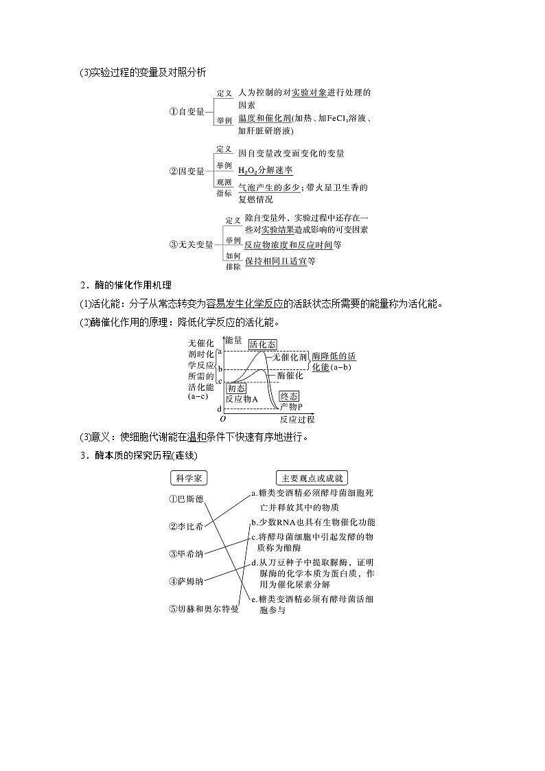 第三单元　第十一课时　降低化学反应活化能的酶-2025年高考生物大一轮复习课件02