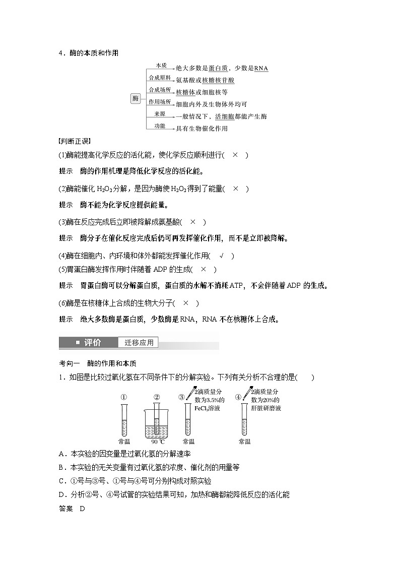 第三单元　第十一课时　降低化学反应活化能的酶-2025年高考生物大一轮复习课件03