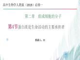 人教版（2019）必修一2.4 蛋白质是生命活动的主要承担者课件