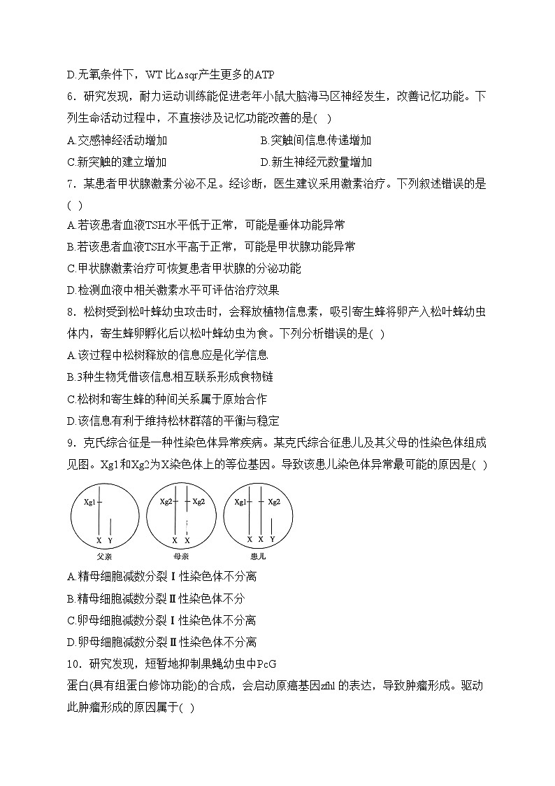 （网络参考版）2024年普通高中学业水平选择性考试生物试卷 广东卷(含答案)02