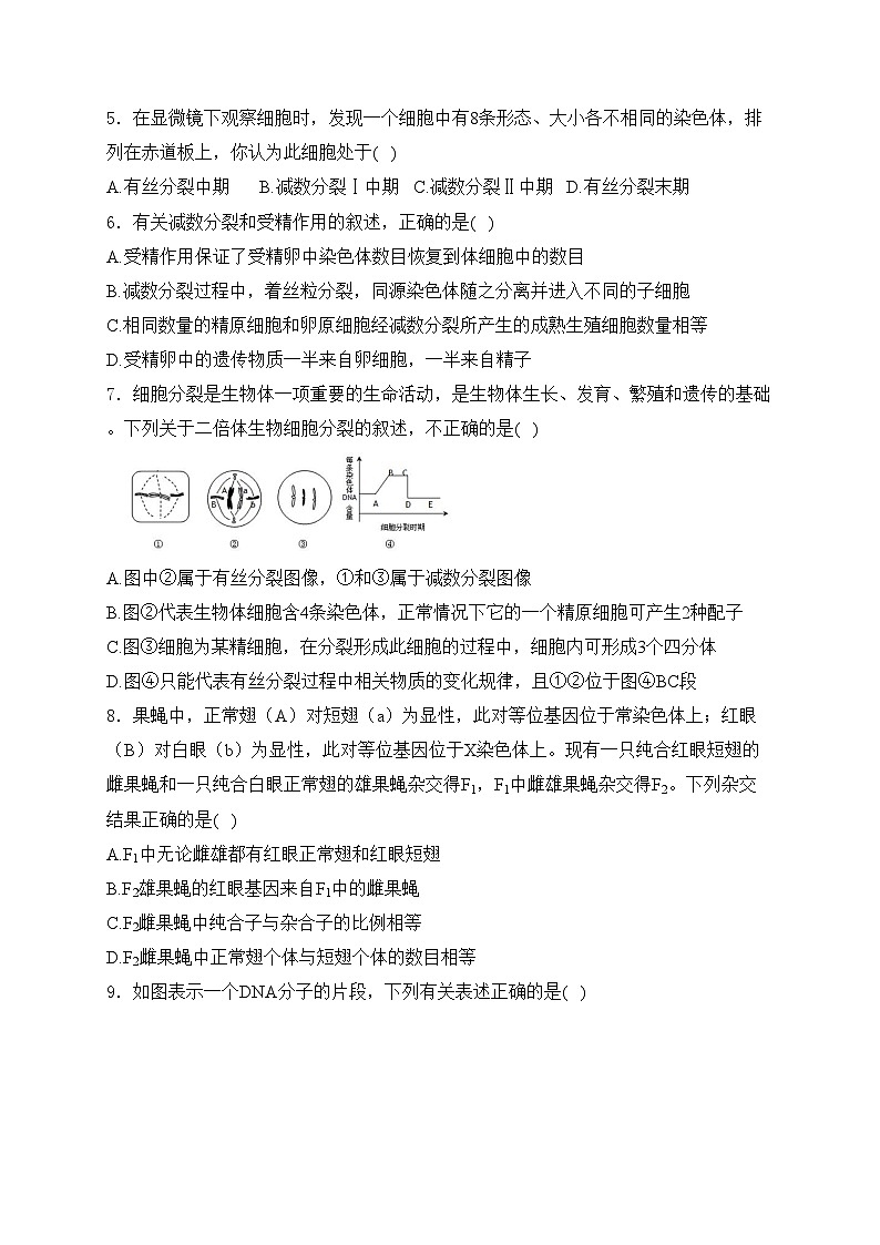 大庆市东风中学2023-2024学年高一下学期期中考试生物试卷(含答案)02
