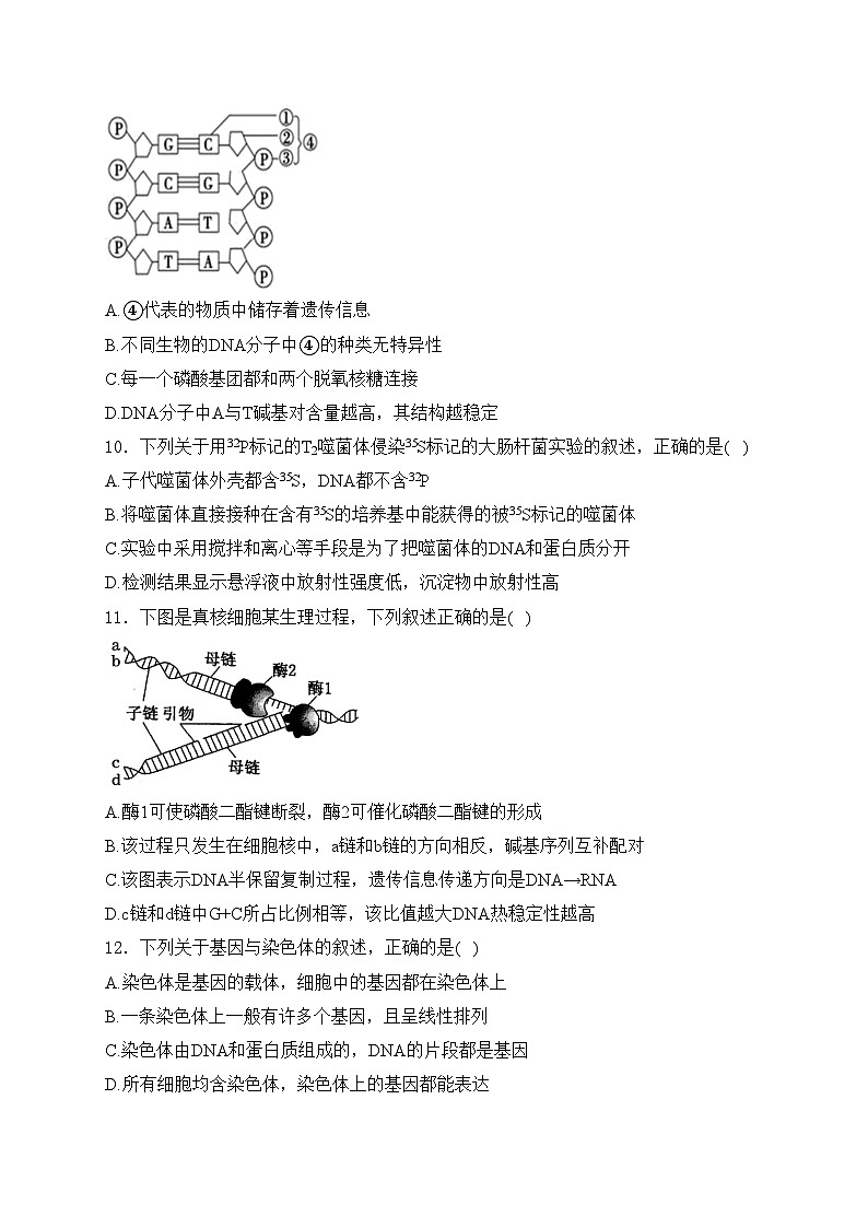 大庆市东风中学2023-2024学年高一下学期期中考试生物试卷(含答案)03