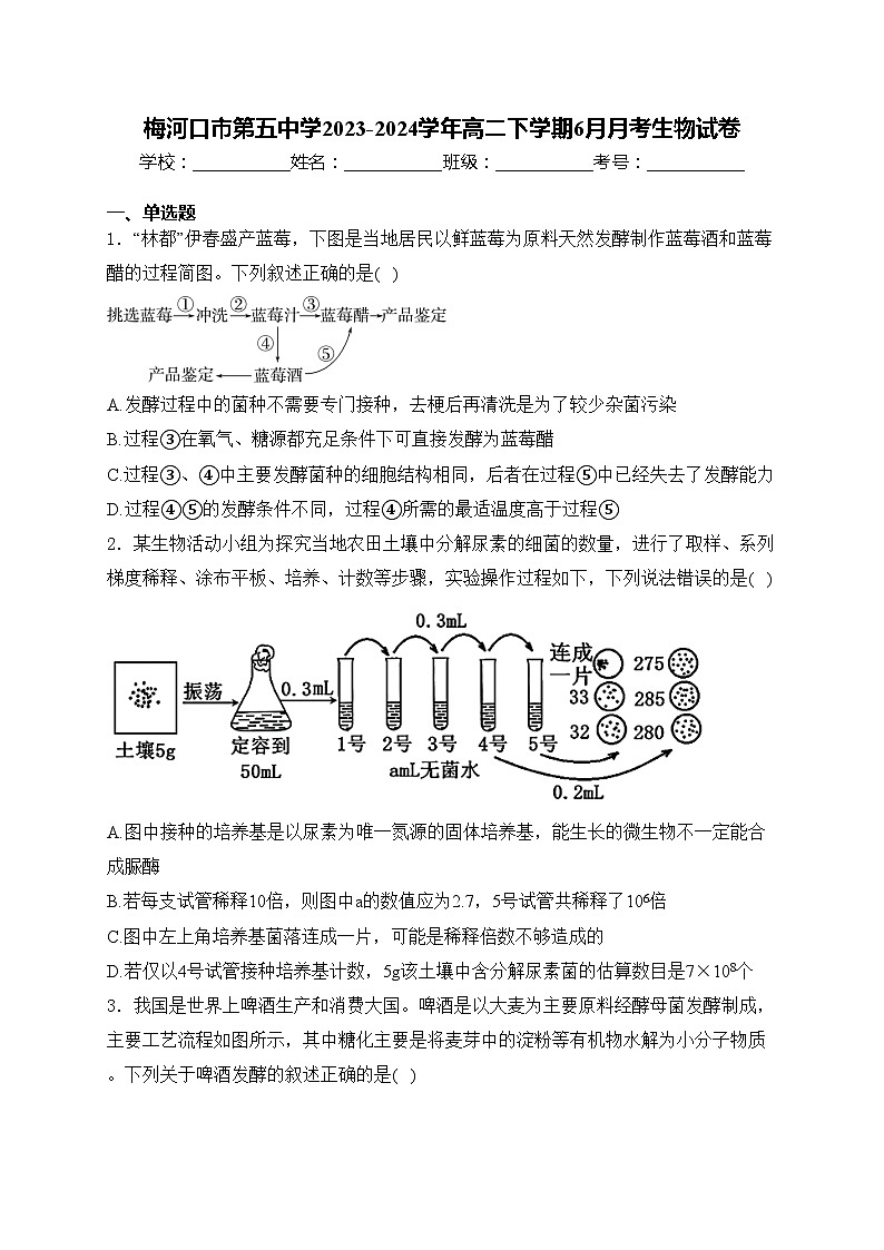 梅河口市第五中学2023-2024学年高二下学期6月月考生物试卷(含答案)01