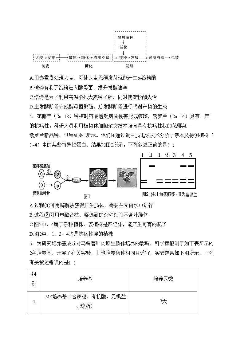 梅河口市第五中学2023-2024学年高二下学期6月月考生物试卷(含答案)02