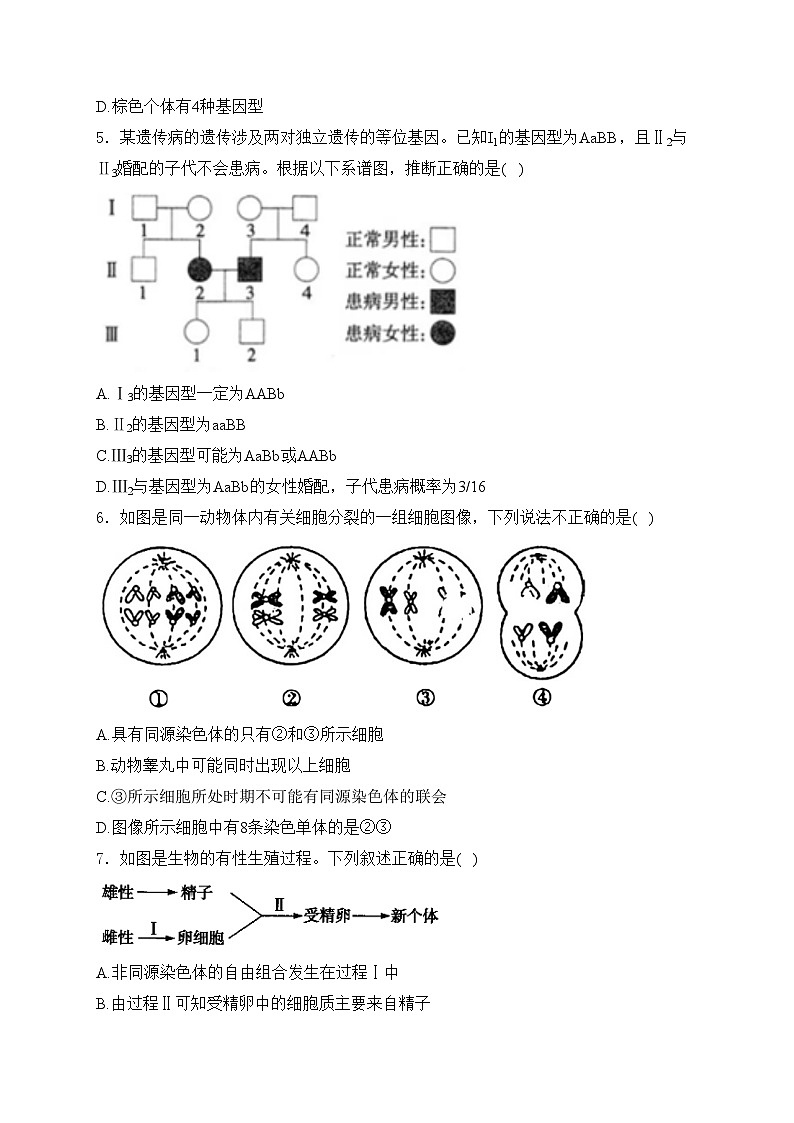 山东省聊城第一中学2023-2024学年高一下学期期中考试生物试卷(含答案)02