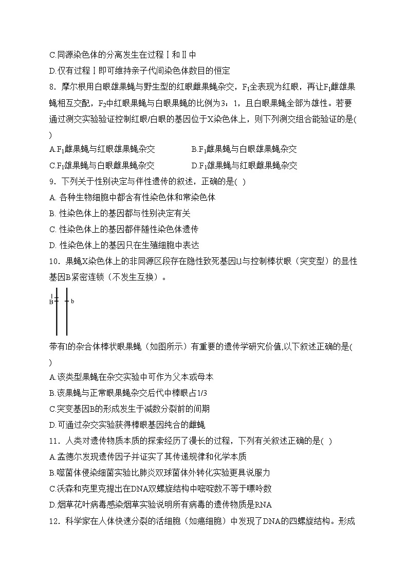 山东省聊城第一中学2023-2024学年高一下学期期中考试生物试卷(含答案)03