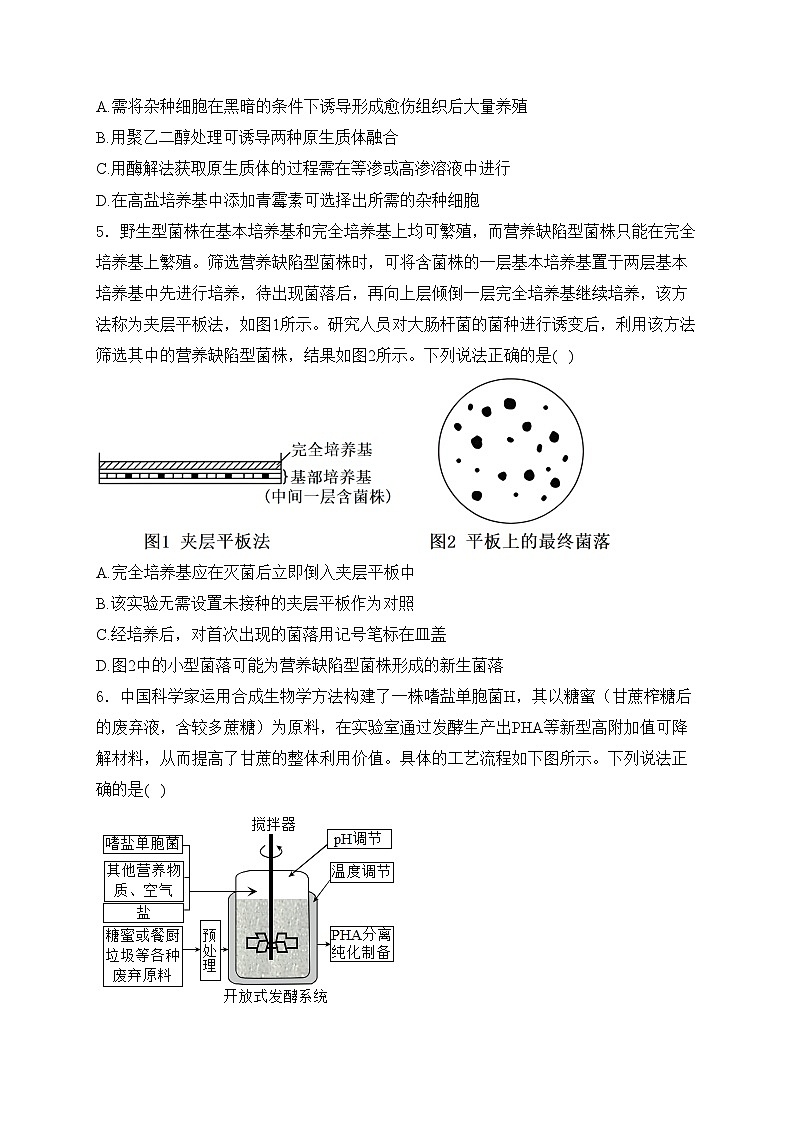 山东省青岛第十九中学2023-2024学年高二下学期期中考试生物试卷(含答案)第2页