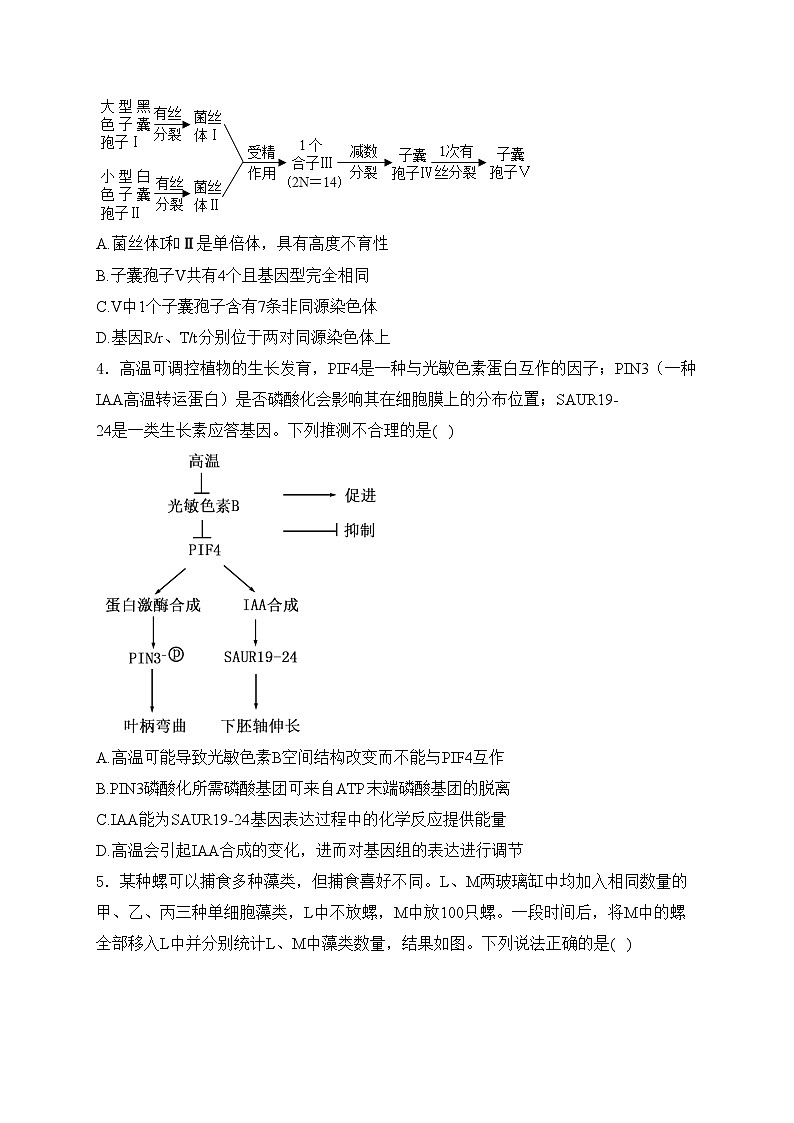 四川省达州市2024届高三下学期第二次诊断性测试生物试卷(含答案)02