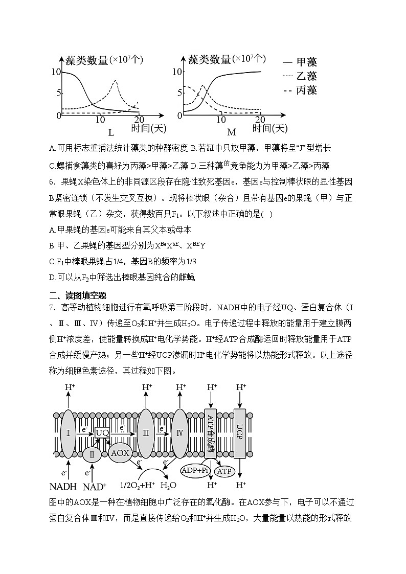 四川省达州市2024届高三下学期第二次诊断性测试生物试卷(含答案)03