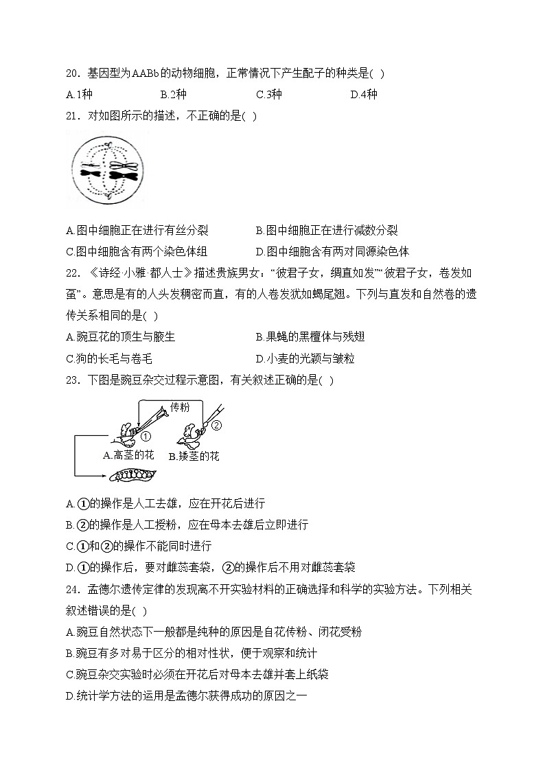 铁力市马永顺中学校2023-2024学年高一下学期4月月考生物试卷(含答案)03