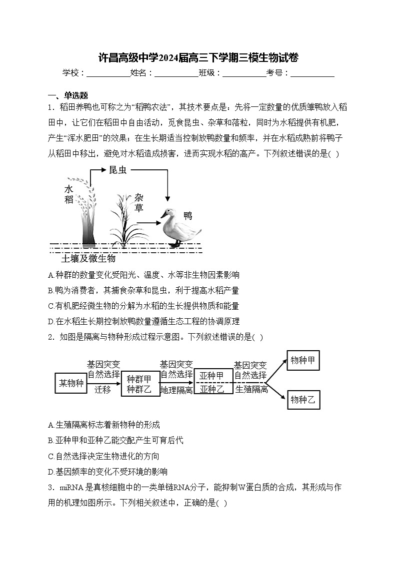 许昌高级中学2024届高三下学期三模生物试卷(含答案)01
