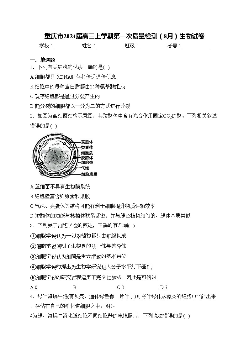 重庆市2024届高三上学期第一次质量检测（8月）生物试卷(含答案)01