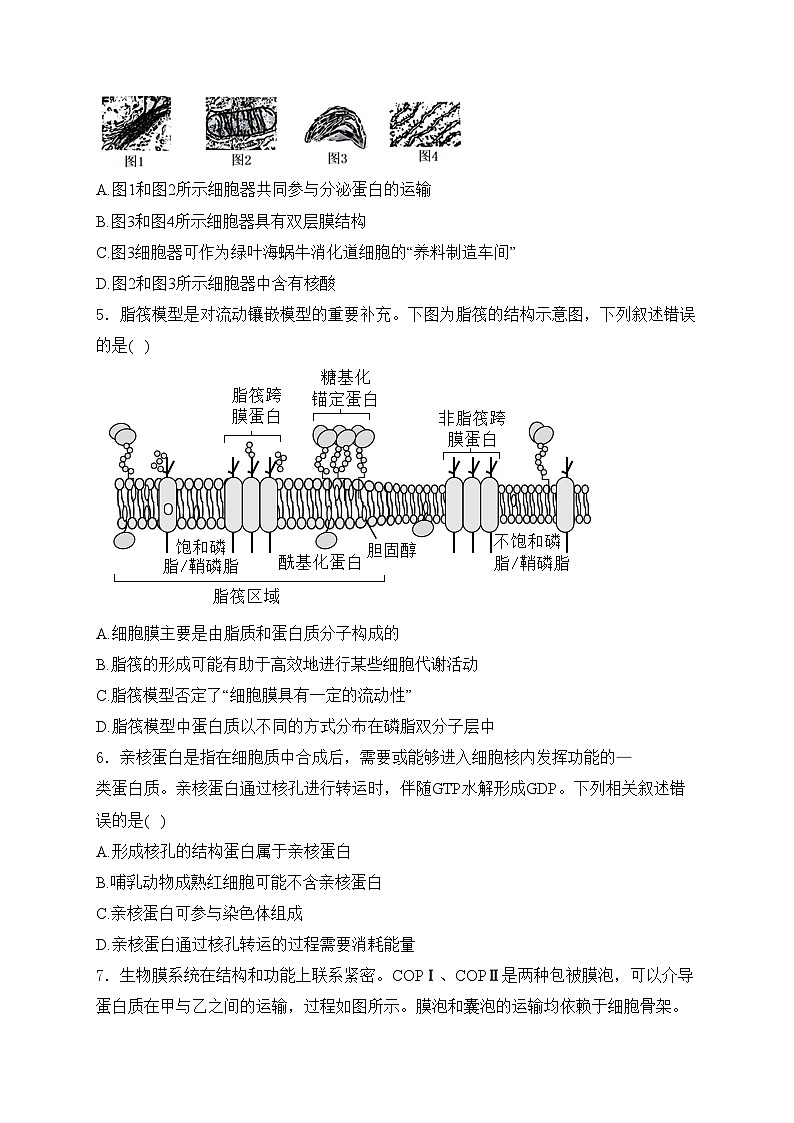 重庆市2024届高三上学期第一次质量检测（8月）生物试卷(含答案)02