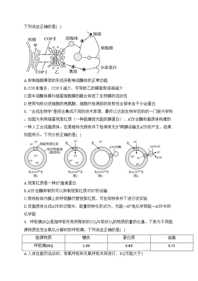 重庆市2024届高三上学期第一次质量检测（8月）生物试卷(含答案)03