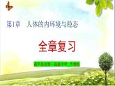 2023-2024学年高二上学期生物人教版选择性必修1第1章人体的内环境与稳态章末总结课件