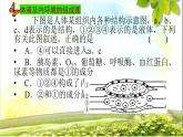 2023-2024学年高二上学期生物人教版选择性必修1第1章人体的内环境与稳态章末总结课件