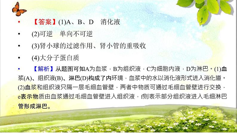 2023-2024学年高二上学期生物人教版选择性必修1第1章人体的内环境与稳态章末总结课件08