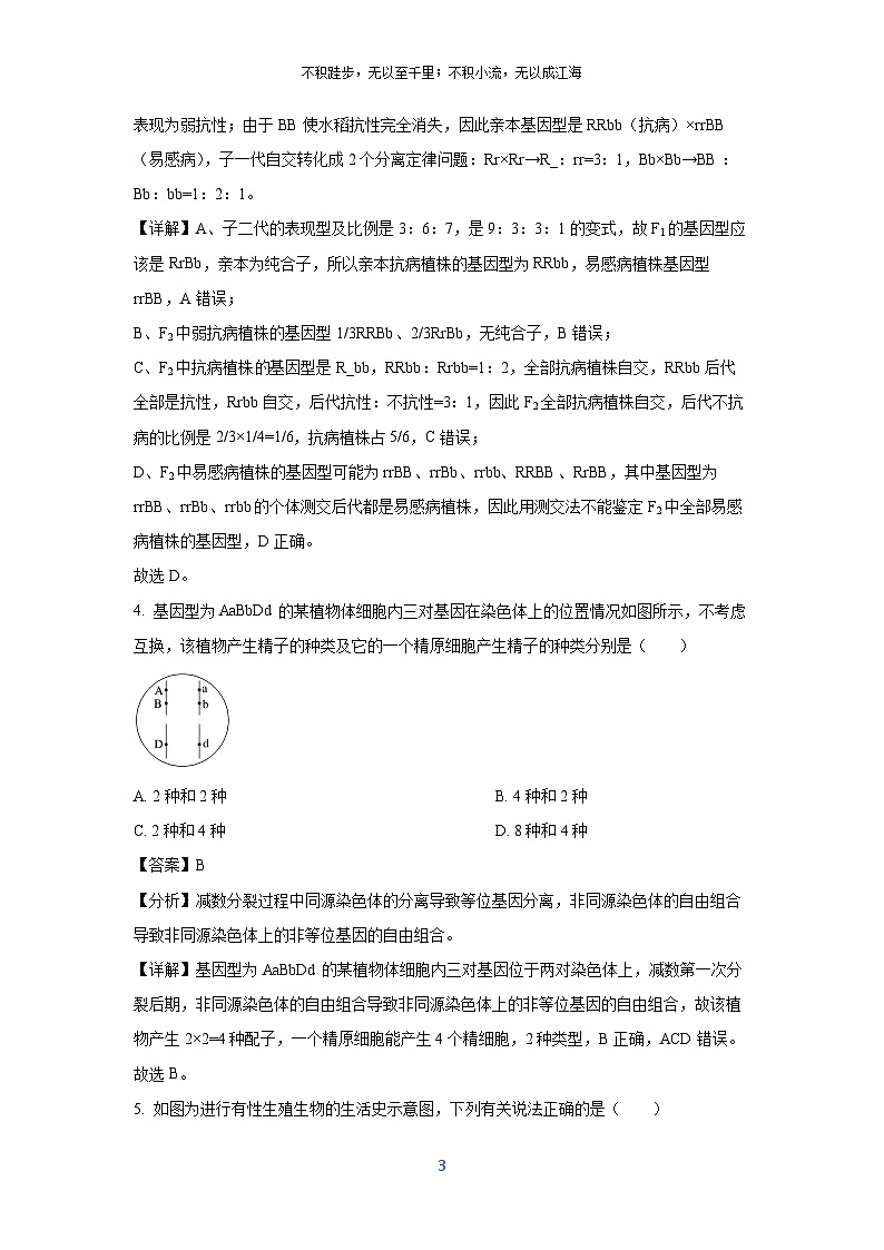 [生物]四川省眉山市东坡区2023-2024学年高一下学期期末联合考试试题（解析版）第3页