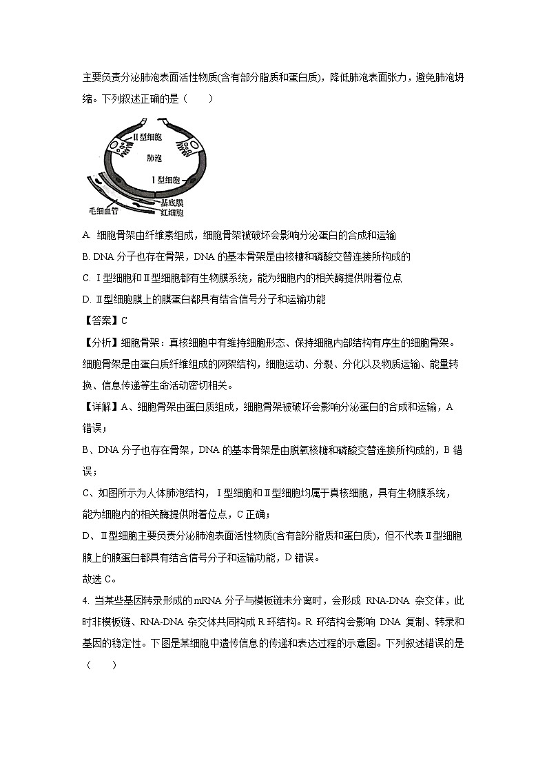 [生物]广东省茂名市七校联盟2023-2024学年高一下学期6月月考试题（解析版）03