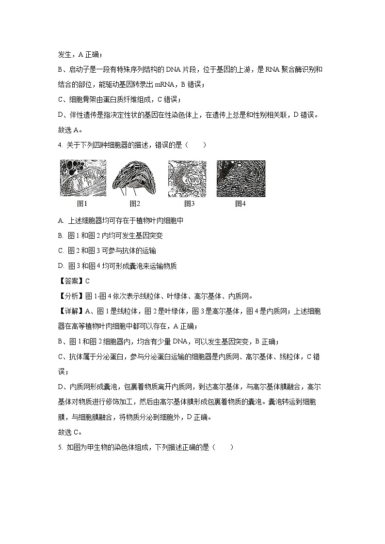 [生物]山西省长治市2023-2024学年高二下学期6月期末试题（解析版）03