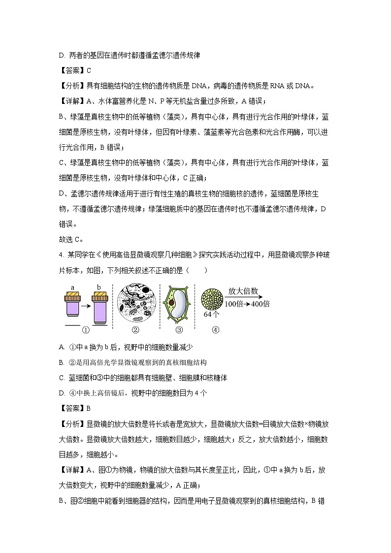[生物]山东省菏泽市鄄城县2023-2024学年高二下学期6月月考试题（解析版）03