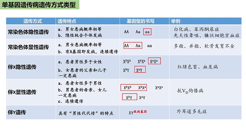 2024届高三生物一轮复习课件：遗传系谱图中遗传方式的判定及应用05