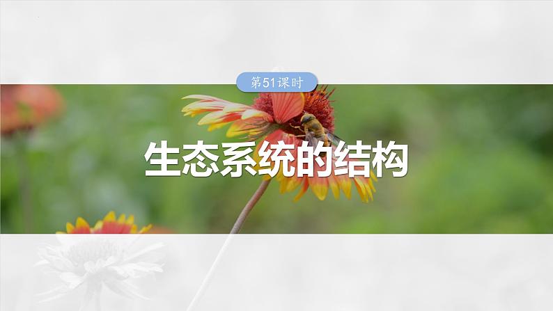 2024届高三生物一轮复习课件第51课时　生态系统的结构第1页