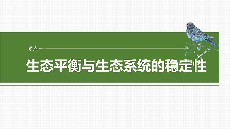 2024届高三生物一轮复习课件第54课时　生态系统的稳定性第4页