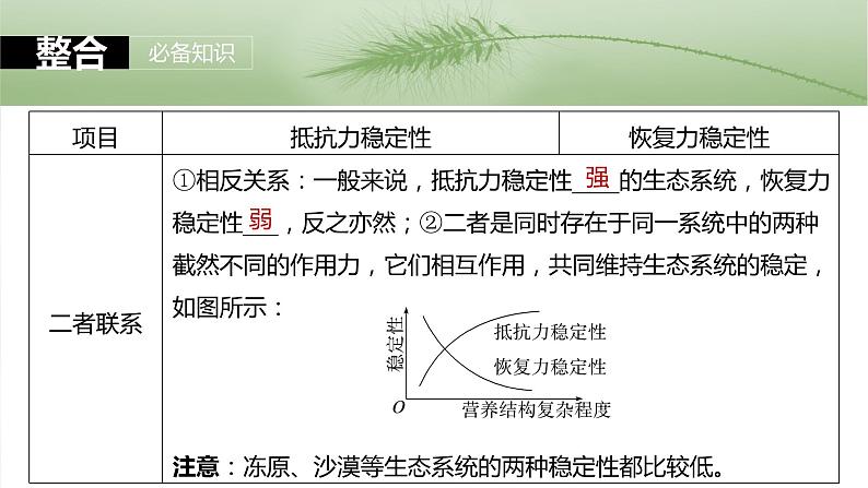 2024届高三生物一轮复习课件第54课时　生态系统的稳定性第8页