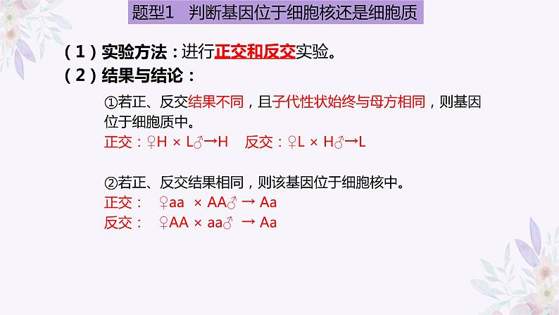 2024届高三生物专题复习课件：基因位置的判定05