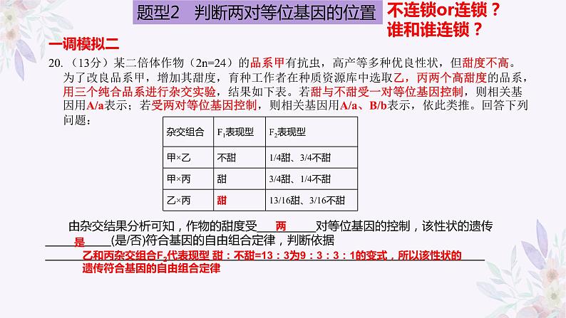 2024届高三生物专题复习课件：基因位置的判定07