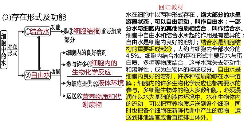 2025届高三生物一轮复习课件第2讲 细胞中的元素和化合物,细胞中的无机物第7页