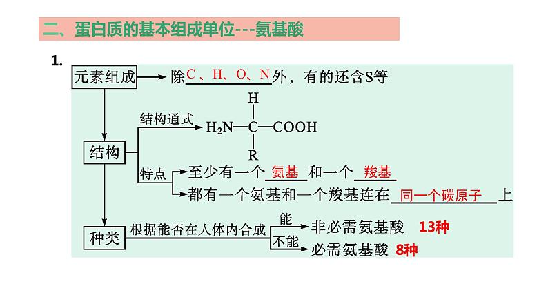 2025届高三生物一轮复习课件第3讲 蛋白质和核酸第3页