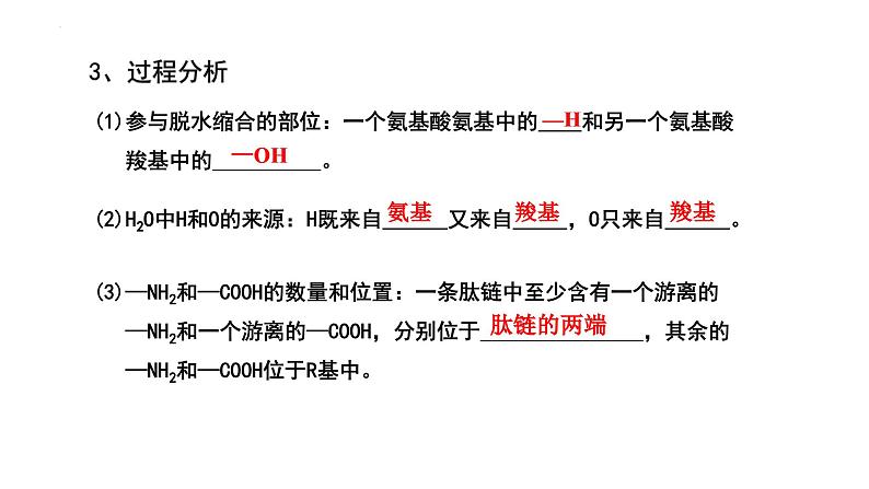 2025届高三生物一轮复习课件第3讲 蛋白质和核酸第5页